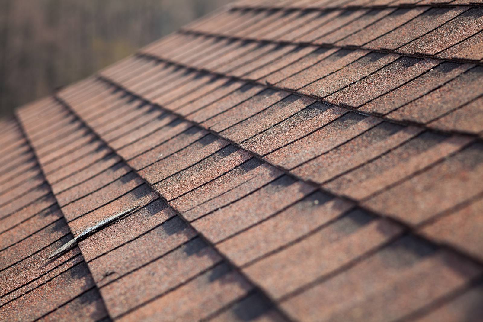 Close-up of an asphalt shingle roof